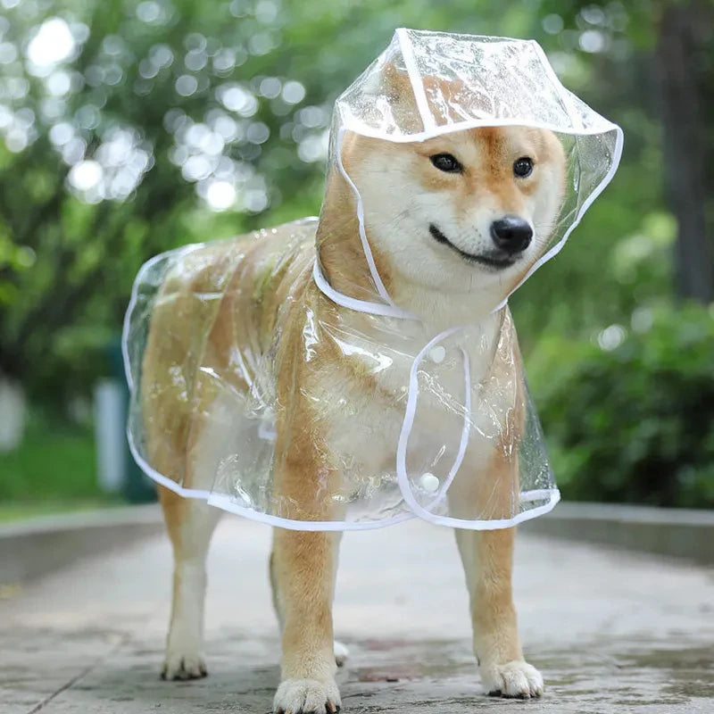 Impermeable transparente con capucha para mascotas pequeñas