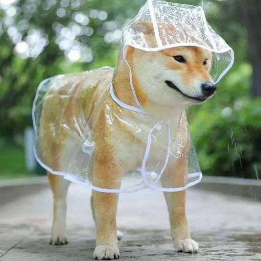 Impermeable transparente con capucha para mascotas pequeñas