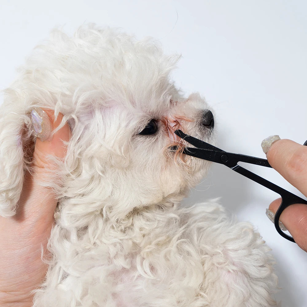 Set de peine y tijeras para limpieza facial de mascotas