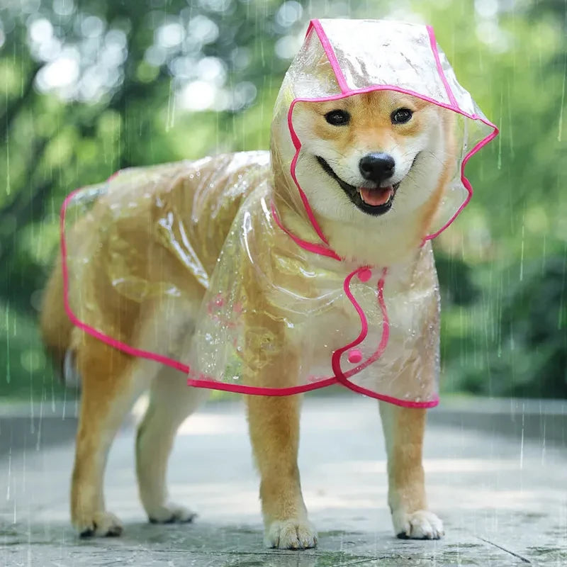 Impermeable transparente con capucha para mascotas pequeñas