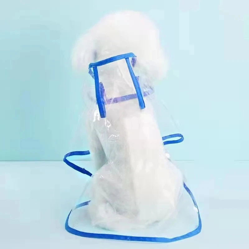 Impermeable transparente con capucha para mascotas pequeñas