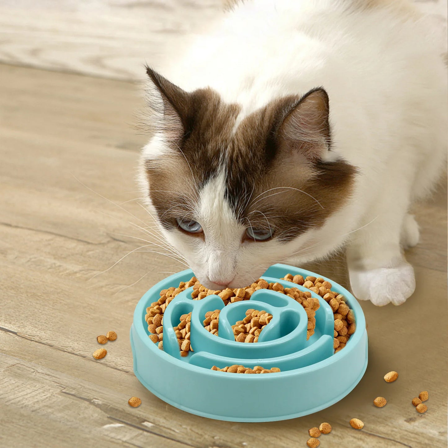 Plato antideslizante de alimentación lenta para mascotas