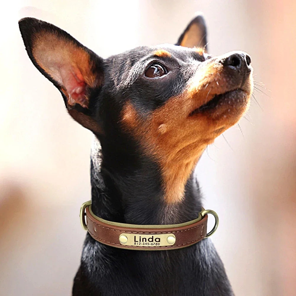 Collar de cuero suave y acolchado con etiqueta de identificación personalizada para mascotas