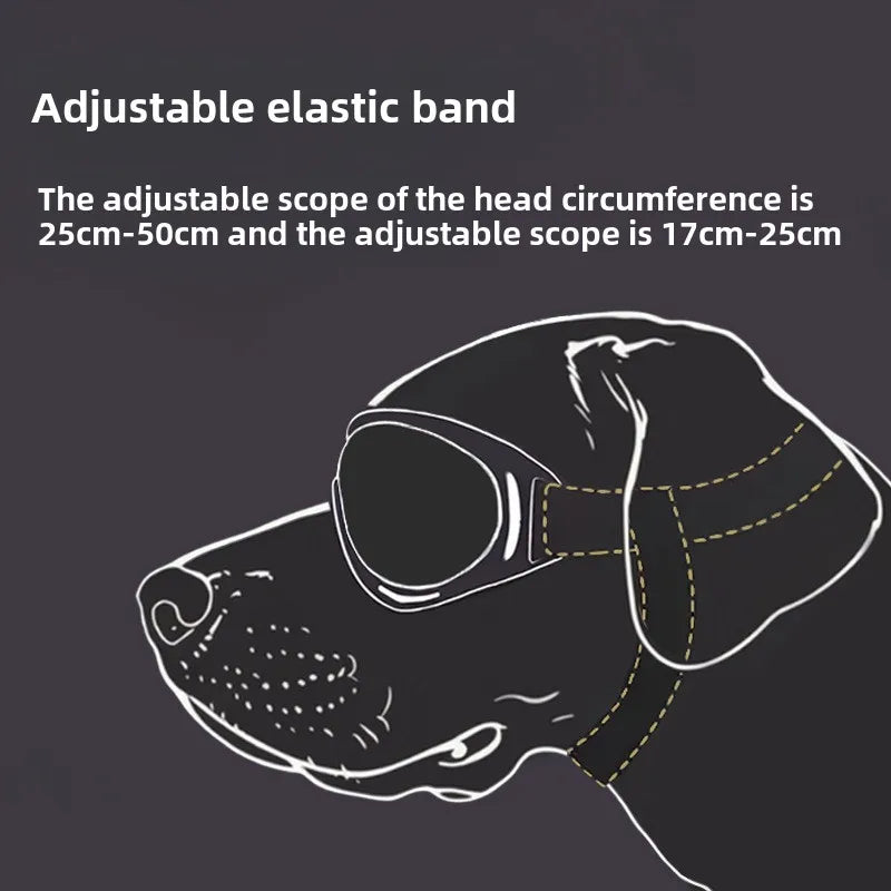 Gafas de sol ajustables anti-UV para perros