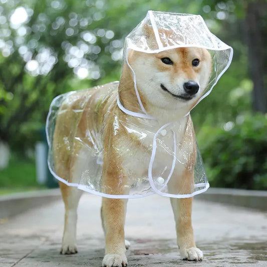Impermeable transparente con capucha para mascotas pequeñas