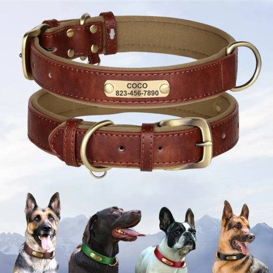 Collar de cuero suave y acolchado con etiqueta de identificación personalizada para mascotas