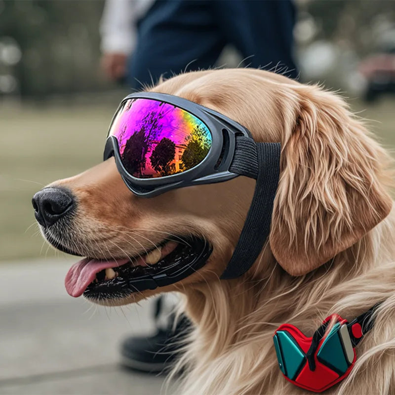 Gafas de sol ajustables anti-UV para perros