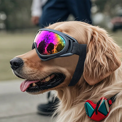 Gafas de sol ajustables anti-UV para perros