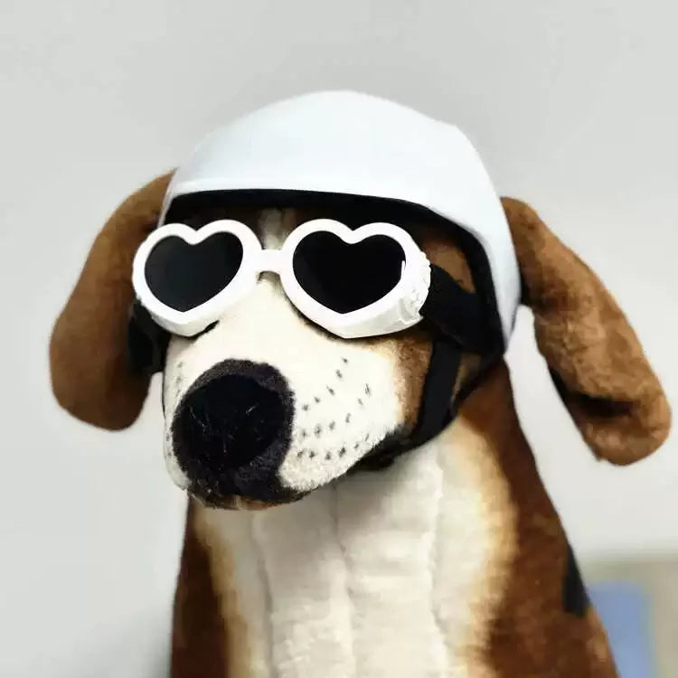 Casco de motocicleta para mascota