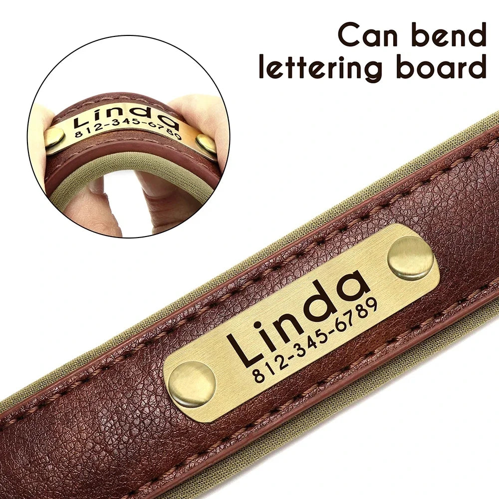 Collar de cuero suave y acolchado con etiqueta de identificación personalizada para mascotas