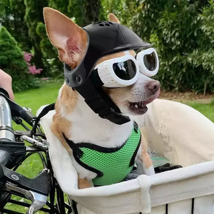 Casco de motocicleta para mascota