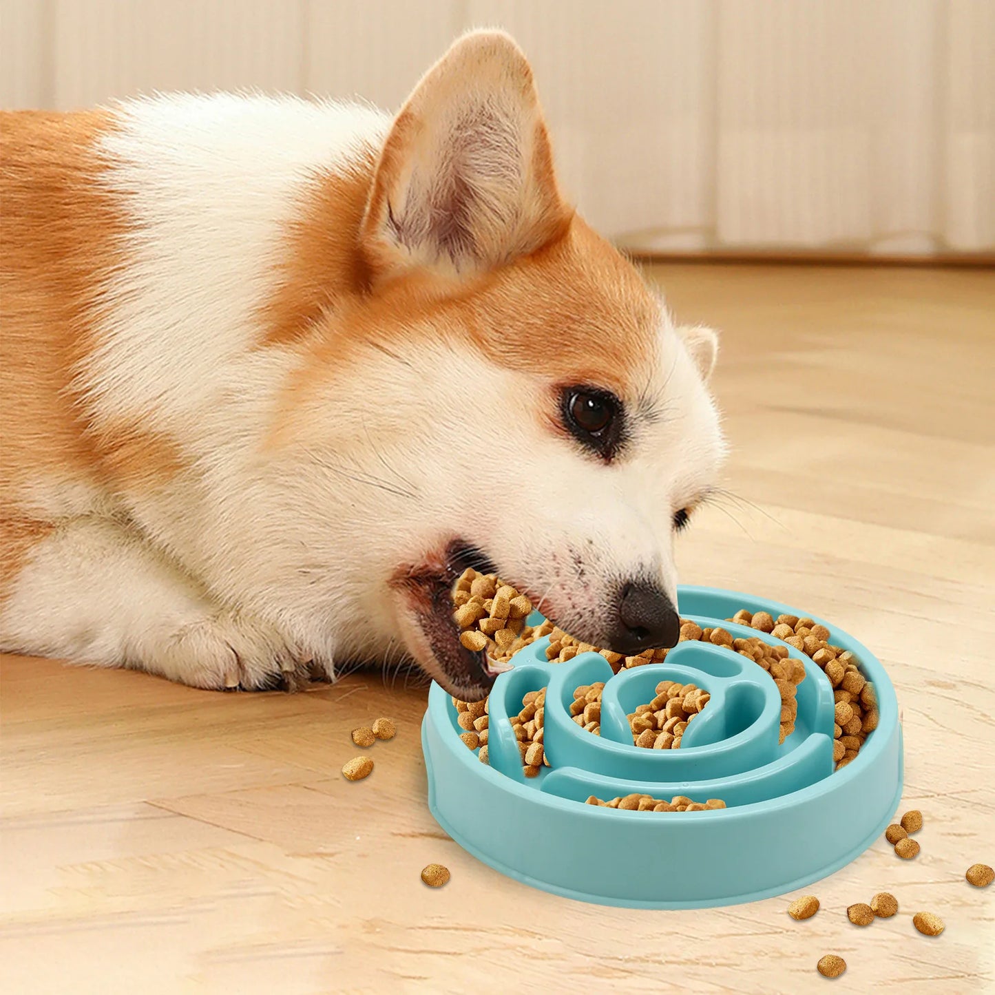 Plato antideslizante de alimentación lenta para mascotas