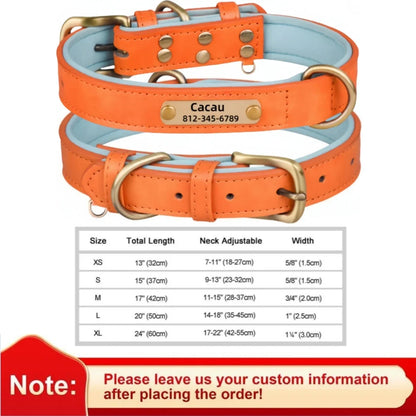 Collar de cuero suave y acolchado con etiqueta de identificación personalizada para mascotas
