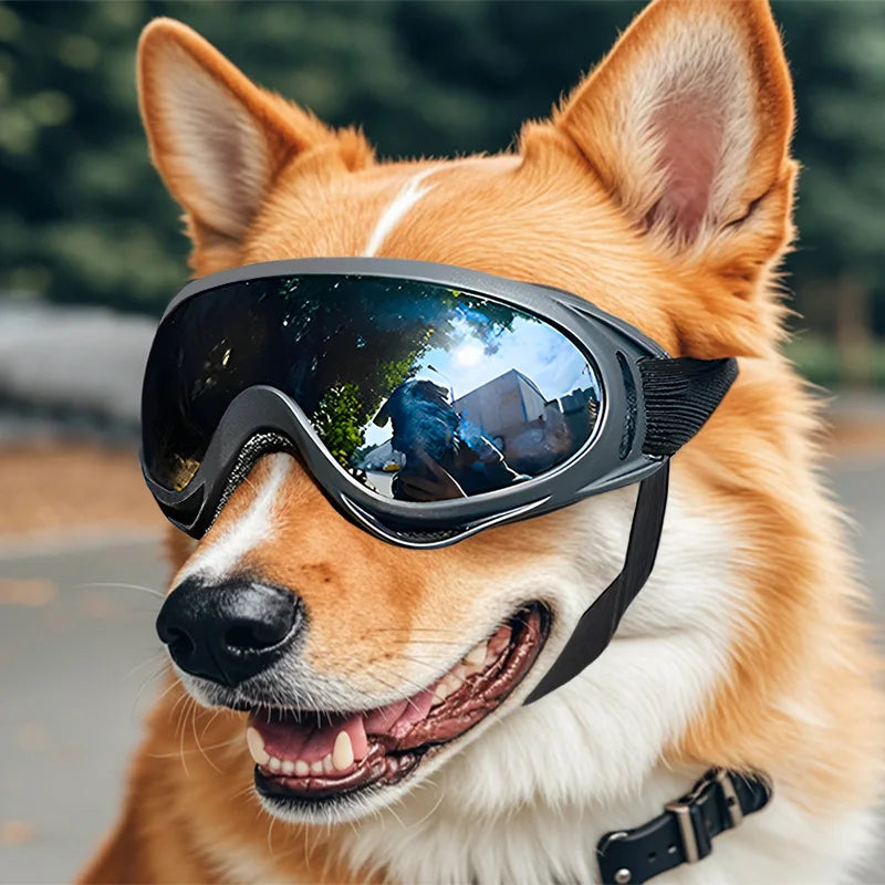Gafas de sol ajustables anti-UV para perros