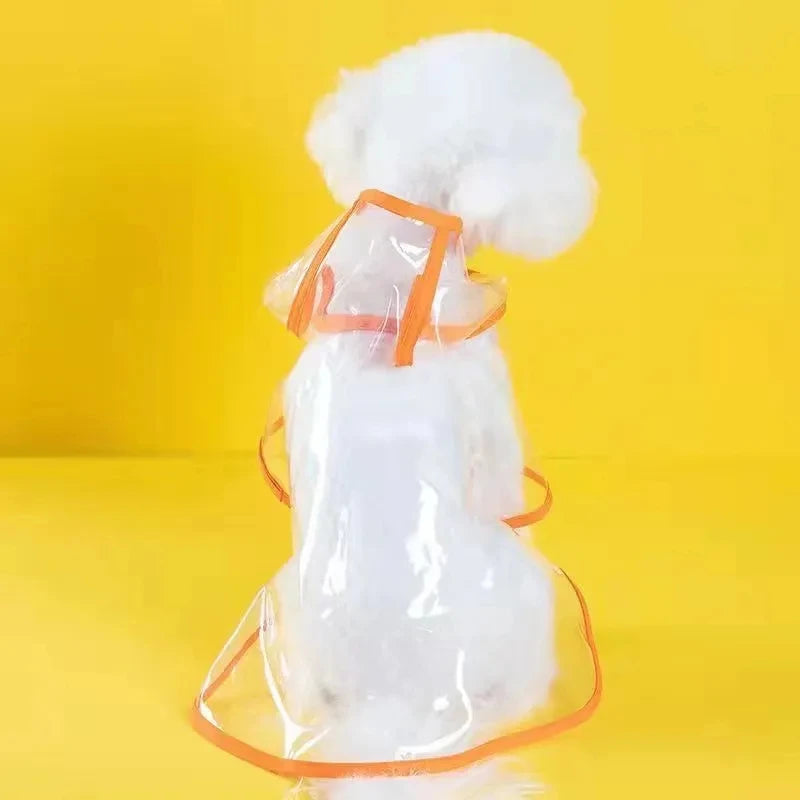 Impermeable transparente con capucha para mascotas pequeñas