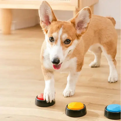 Botón de grabación de voz para entrenamiento de comunicación para mascotas