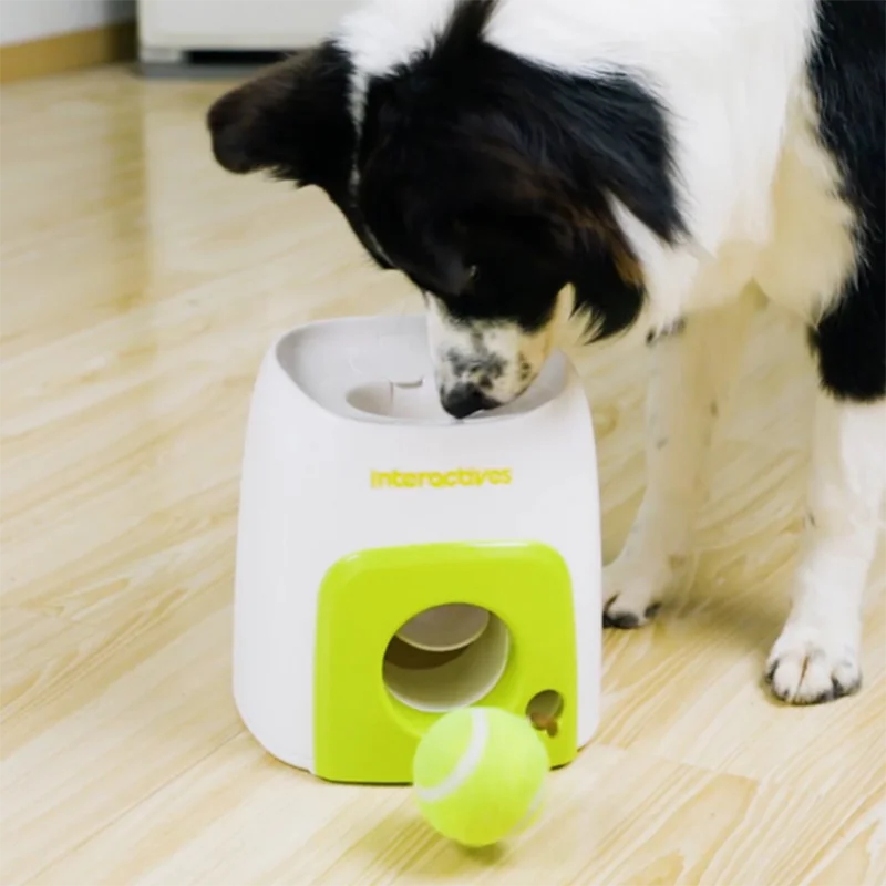 Máquina lanzadora de pelotas para mascotas