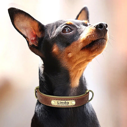 Collar de cuero suave y acolchado con etiqueta de identificación personalizada para mascotas